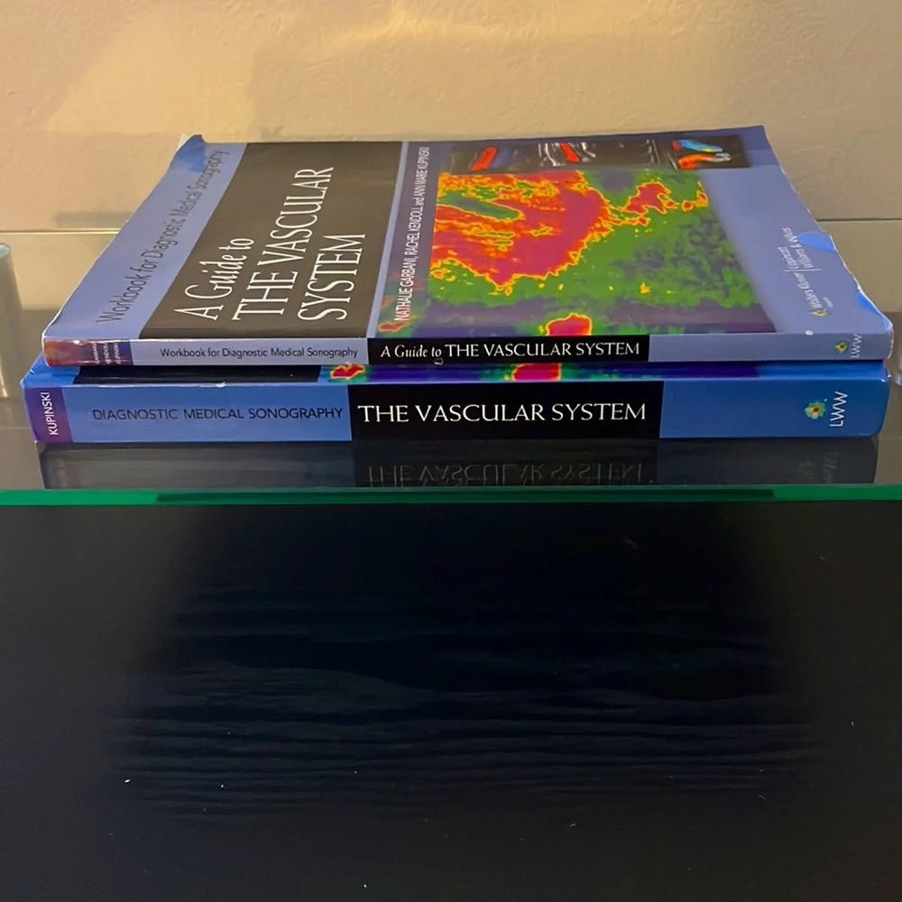 A Guide to The Vascular System